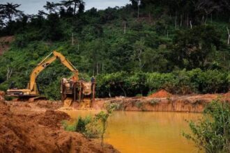 Mahama bans Mining Leases in Forest Reserves